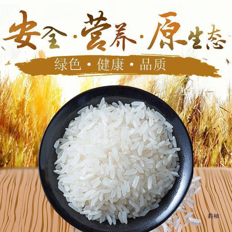 50斤长粒香米新米晚稻丝苗米煲仔饭蛋炒饭猫牙米煮饭大米批发|undefined