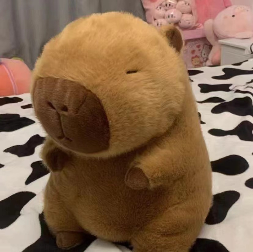 10 дюймов 30cm Капибала / Случайные цвета