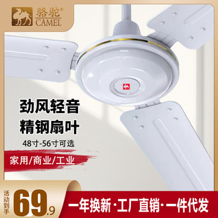Camel ceiling fan 56-inch household commercial wind-driven living room dining room dormitory factory industrial hanging mute electric fan