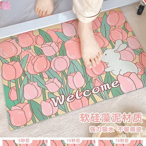 ins entrance door mat pvc entrance mat anti-slip mat door carpet mat home
