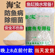 2025�^�p�~�����}���������������~�\���z���}