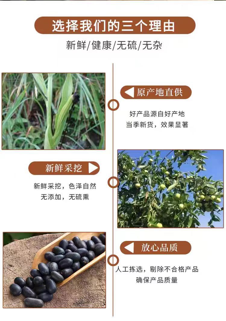 Wild Guangxi Shuang Shen Zi (Double Kidney Seed) — Dried Herbal Fruit for Wine Infusion & TCM Blends overview
