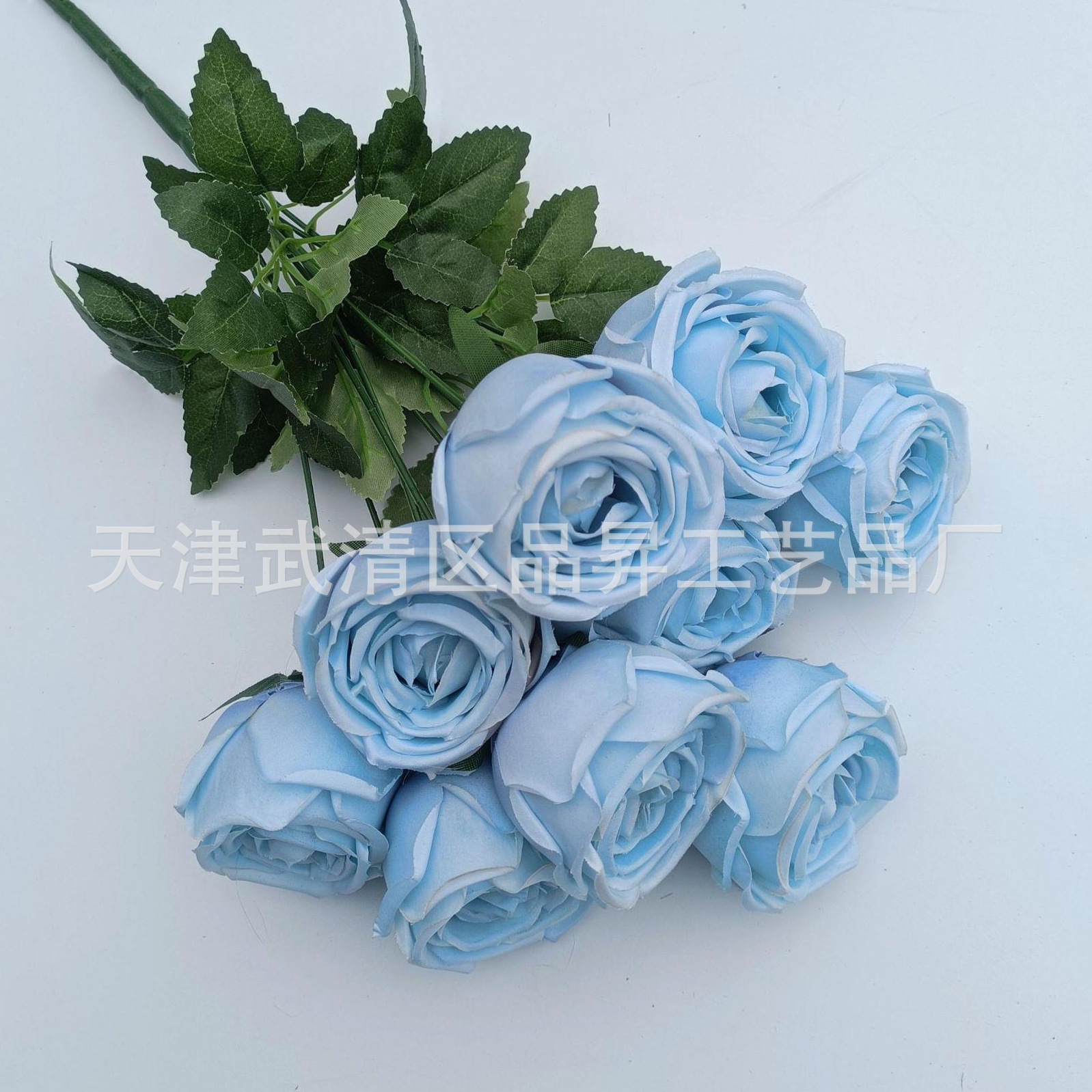 527fc6ac3ebc9ca4ccc12d1bc73038