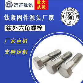 钛外六角螺栓M14*70-M14*100螺丝钛螺栓厂家直销批发
