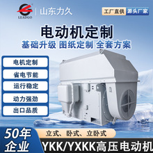 YKK/YXKK高压三相异步电机220-1120KW煤矿发电厂专用电机持续工作