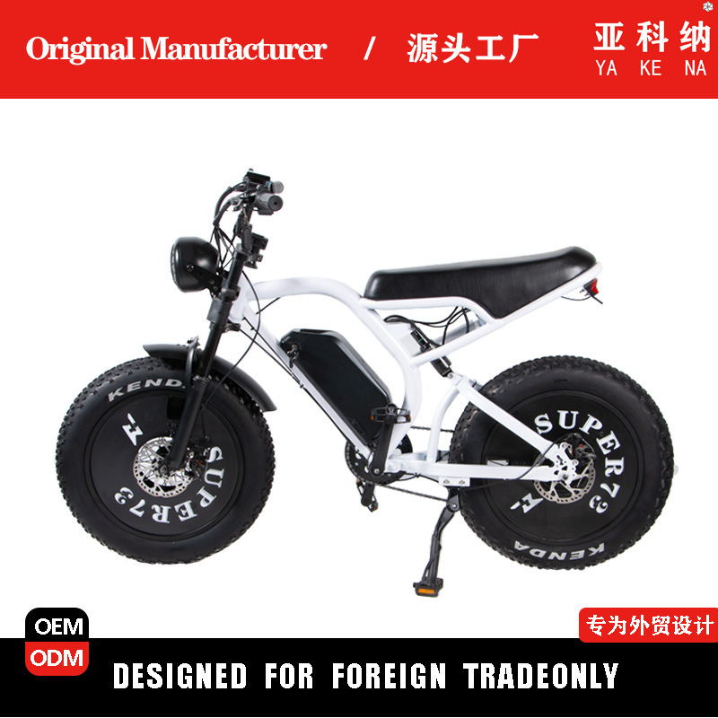 Big Tire 20inch Electric Assisted Mountain Bike Outdoor Off-Road Riding X3 Mountain Bike for Snow, Grass, Canyon, and Effort-Saving Riding