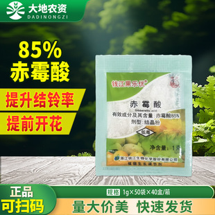 �X�������� 85%��ù���ù�����ѻ����������o��ֲ�����L�{����