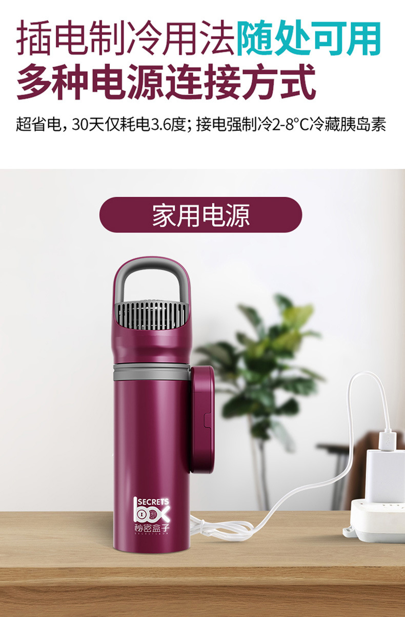 Portable Rechargeable Car-Mounted Small Refrigerator with Insulin Freezer