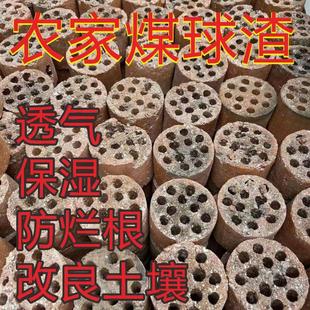 ���ҟ����~��Cú���~�Gֲ����֦�^�N����Y͸������ú��I�B����