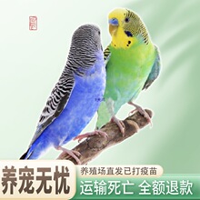 �߲��W�^���B���ﻢƤ�W�^С�B���B��W�fԒ�Č����W�^һ��һĸ