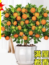 �ļ���ۘ������Ԏ���ֲ���҃Ⱥ��B���ܿ͏d����С���Ә��辰����