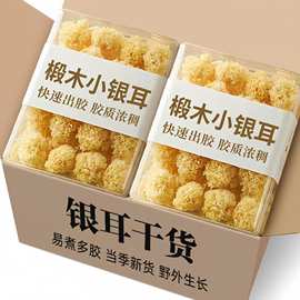 【新货】椴木小银耳批发古田新鲜无熏硫纯天然白木耳特级直供