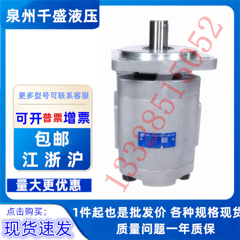 合肥赛源 长源 液压齿轮马达CMGh2025 2032 2040 2050 2063-BFФS