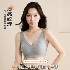暖肌磨毛肌理条纹内衣女2025新款秋冬季小胸聚拢收副乳防下垂文胸