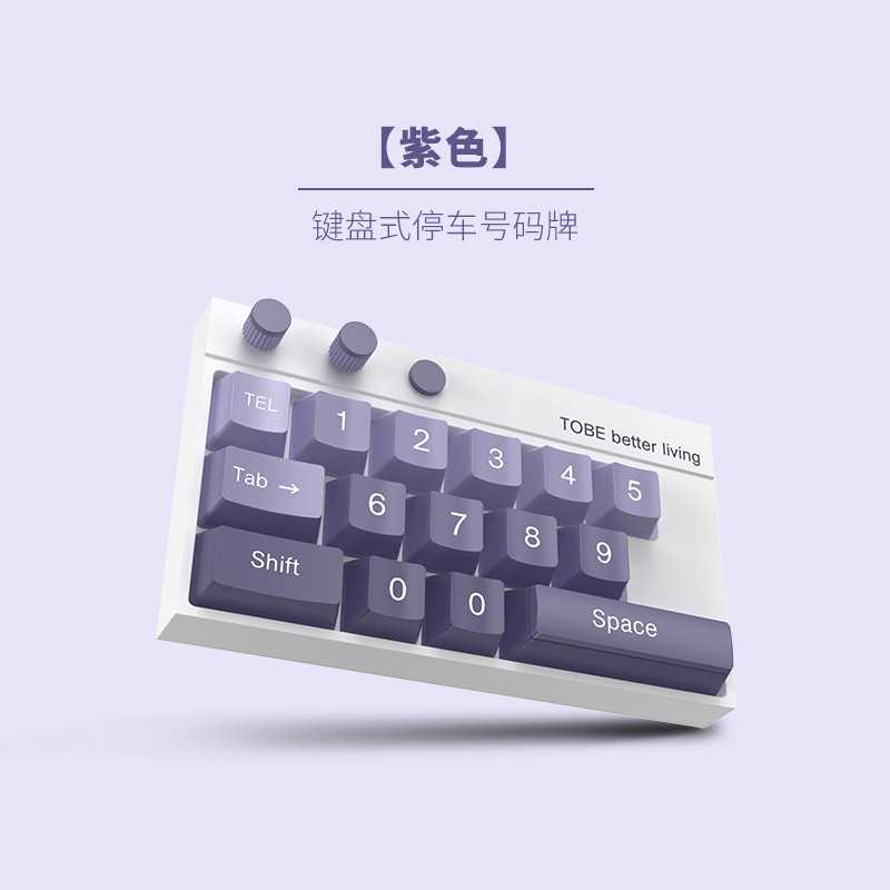 Keyboard Style, Qìchē Nömrəli dayanma kartı - purple