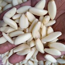 �A�İ��������������ÙCеȥƤ�r���ֹ�ȥƤ���״���С������