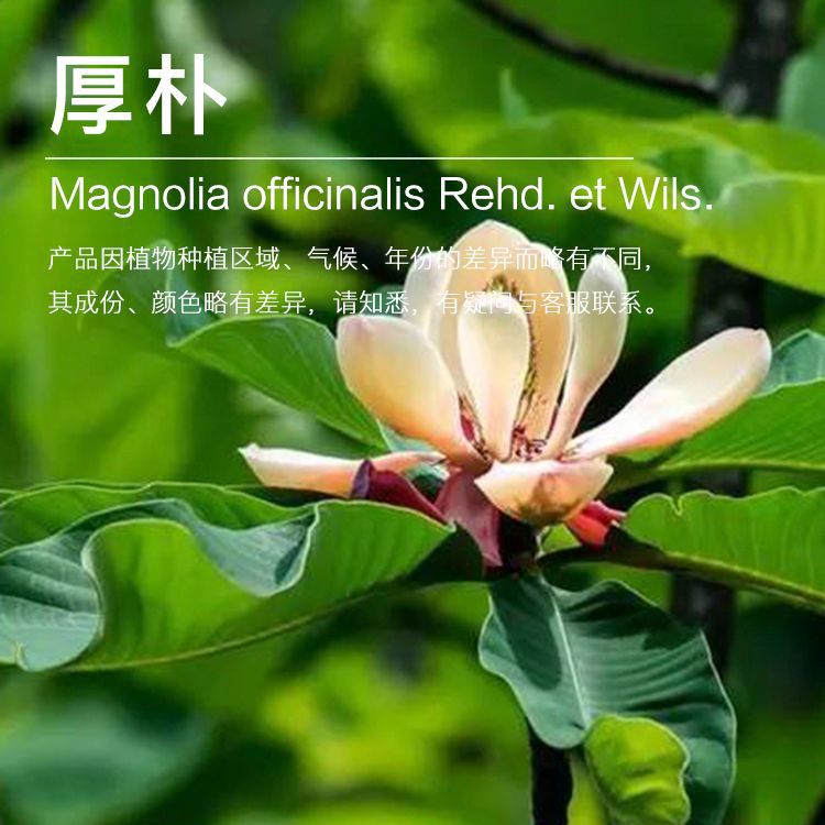 �򻨹�Ӧ������ ���ٽ���ȡ������ �ݱ�ֲ�������ͳ�������