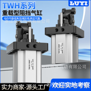 ���¿�TWH20X1525X15TDH TTH32X20 40 50X30 63 80X40SKF������