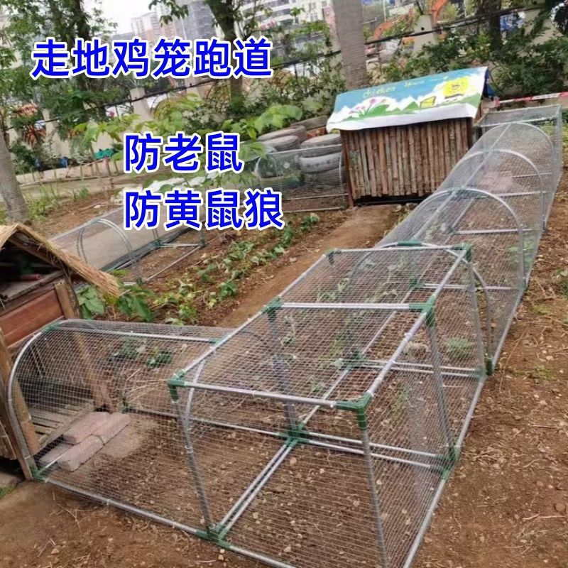 走地铁网鸡笼跑道养鸡隧道笼子农场户外溜达鸡笼子庭院农家用散养