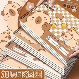 笔记本记事本;素描本;其他簿本册