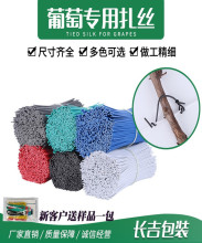 �r���������z�¿��ɫ�G�A��һ�f������֦�l�J������������������