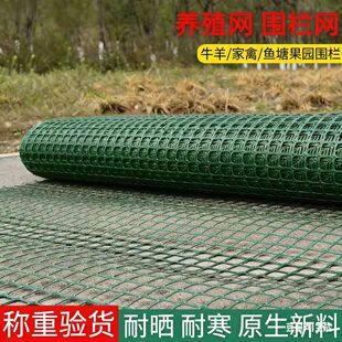 �����Bֳ�W�řڑ������ϾW���o�ˈ@�r�u�����ù��@�~�����׾W���B