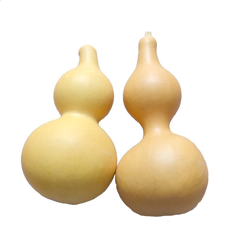 medium , please gourd student Practice Pyrography Actor prop Renovation suspended ceiling flaw gourd One piece wholesale