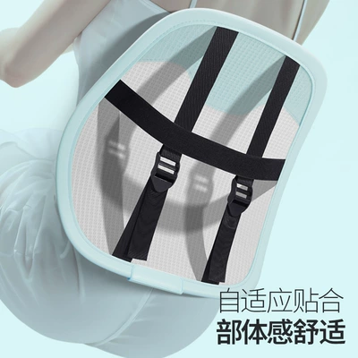 Waist support — protection artifact
