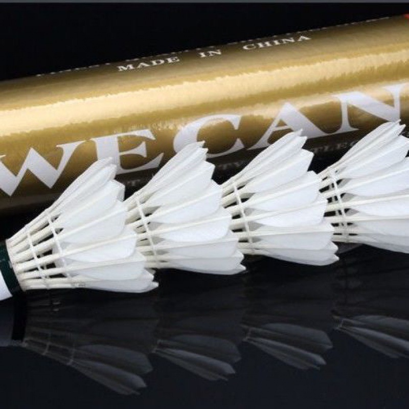 진웨이켄【76 속도】