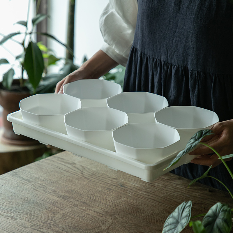 Bandeja de Plástico para Macetas, Cuadrada Negra, para Suculentas y Plántulas