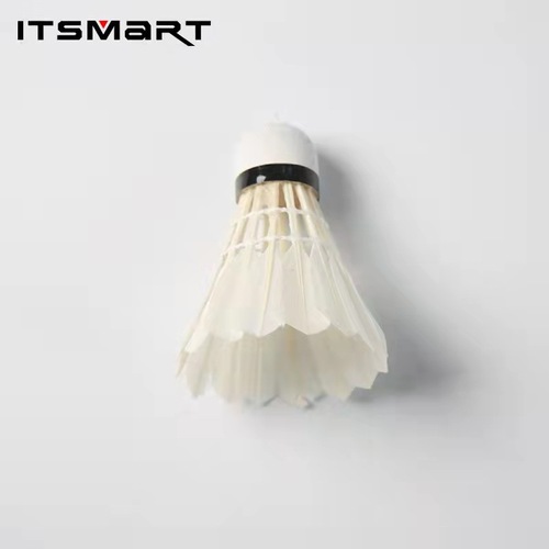 Factory wholesale [Amazon exclusive] goose feather straightening ITSMART badminton 3/6/12 pieces per dozen 