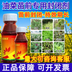 �Ҳݰ�������������ǰ���]���݄�����ѿǰ���]�rș��؛�S�����l