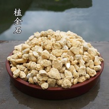 植金石日系萨摩土轻石浮石兰花土铺面兰花石料配料君子兰