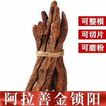 șlɹŰƴĮi Įxi i ĥ