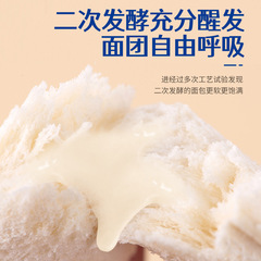 Yide Li Lactic Acid Bacteria Small Pocket Bread Toast Cake Breakfast Meal Replacement Snack Full Carton Manufacturer Wholesale