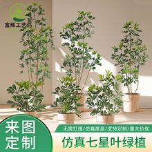 ���������~�����̘I���g�G���پGֲ�쾰�Z�Ʋ����z��ֲ�����_ľ