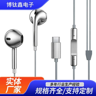 镀珞半入耳Type-C有线耳机高保真音质线控带麦手机电脑通用耳机
