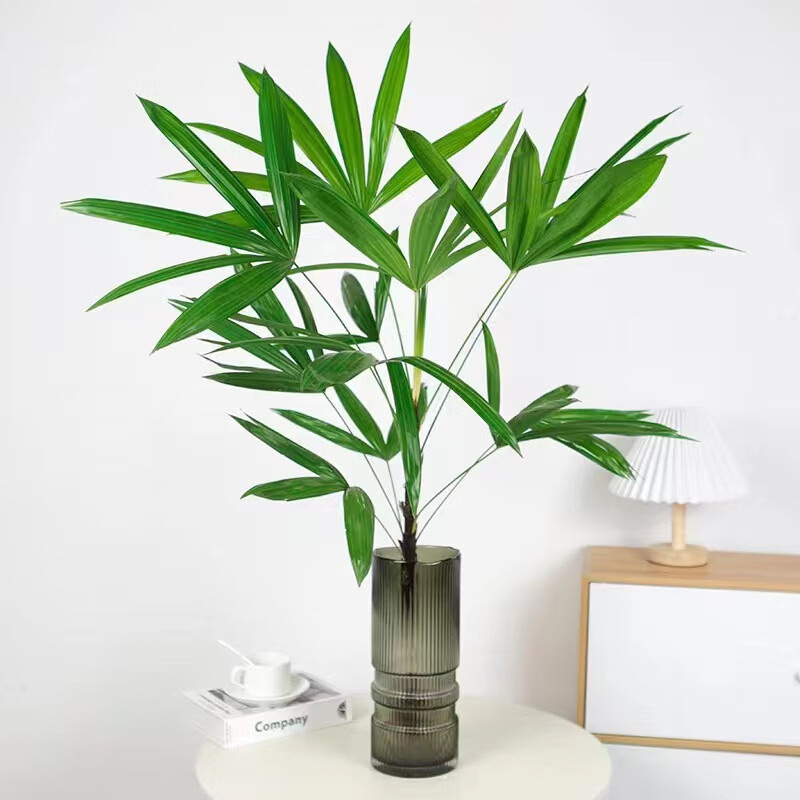 金山棕竹盆栽水培绿植物小叶米竹室内客厅大型招财旺宅富贵竹水竹