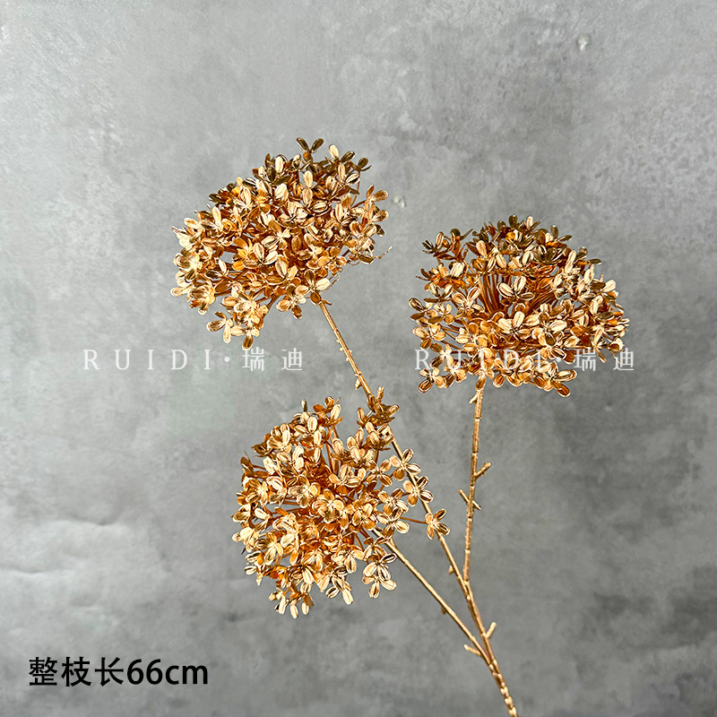 나무 수국—J