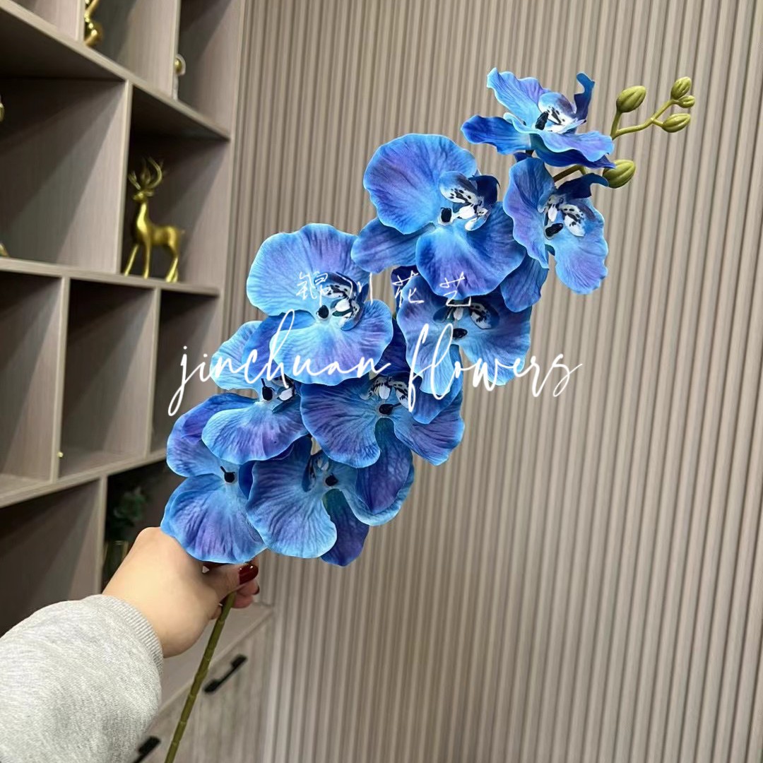 사파이어 블루