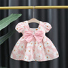 Dress, children's small princess costume, fashionable skirt, flowered, Korean style, children's clothing, wholesale