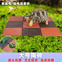 �S�����쾰�u��̖�ֹ��t�������մu��ˮ����������쾰�u�K���l