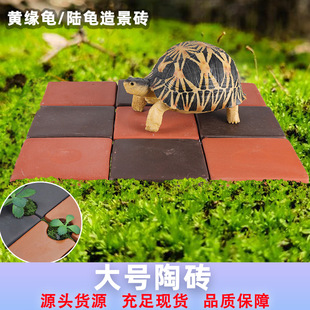 �S�����쾰�u��̖�ֹ��t�������մu��ˮ����������쾰�u�K���l