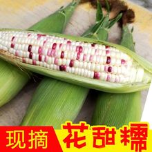 rFժŴ10װȷˮŴճװ2