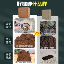 Ҭ�u��K�I�B��Ó�}Ҭ���B��ͨ�����B����Ҭ�����N��