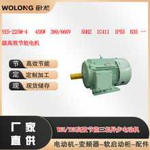 YE5-225M-4 45KW  380/660V    IC411  IP55  B35��Ч���ܵ��