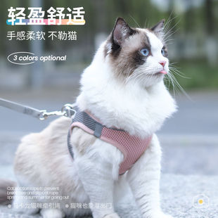 Cat Traction Rope to Prevent Break-Away, Special Cat Walking Rope, Cat Chain, Harness, Small Pet Supplies