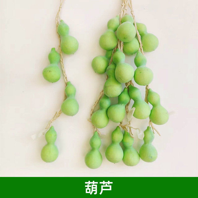 擬似野菜果物掛串偽トウモロコシ唐辛子ニンニク農家楽ホテル装飾品農作物模型掛串|undefined