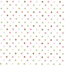 COZY COTTON�����޲� RKƷ��