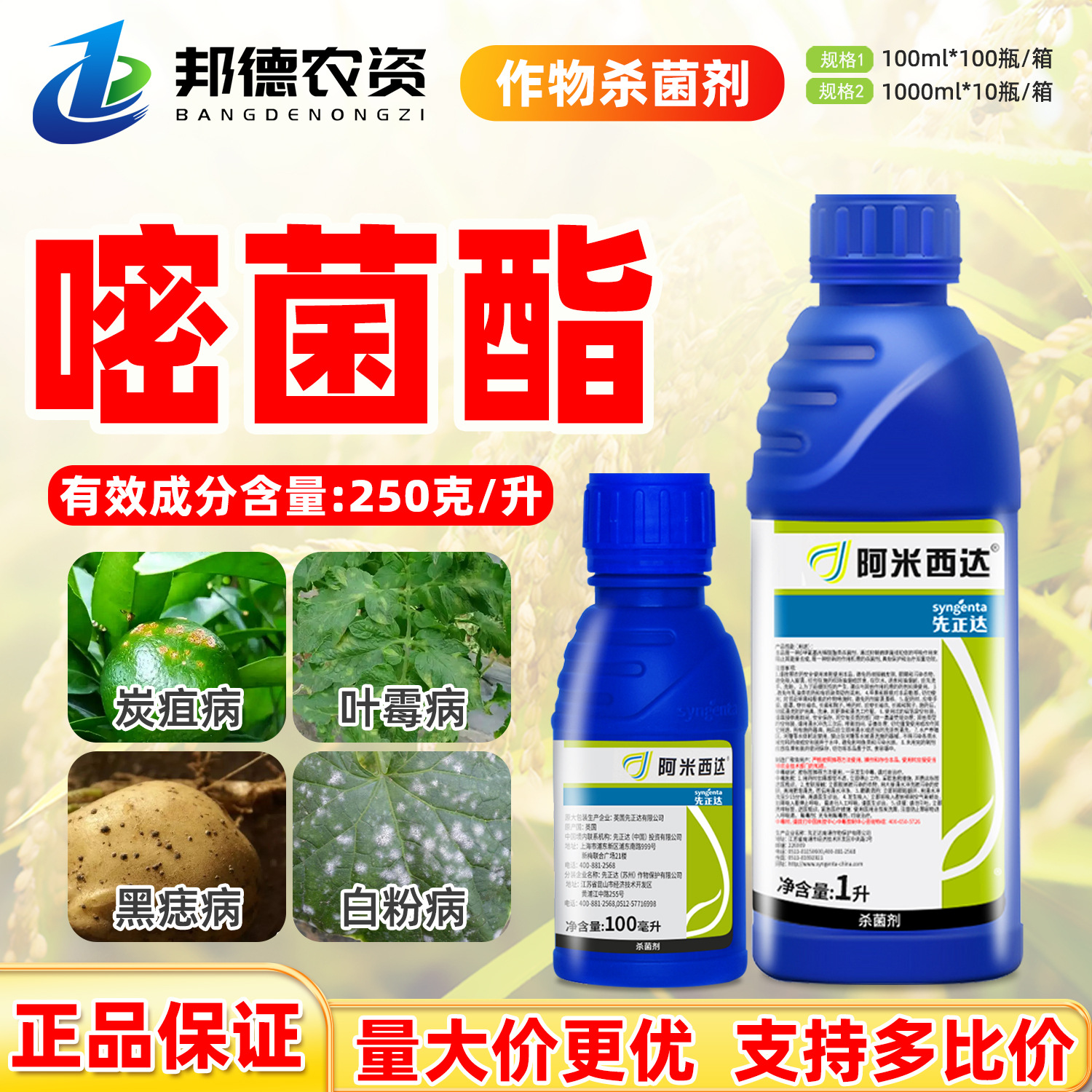 先正达阿米西达嘧菌酯霜霉黑星病早疫叶斑病蔓枯病农药植物杀菌剂